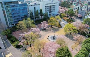 khuon vien truong kyungnam